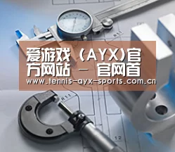 研发能力标题一